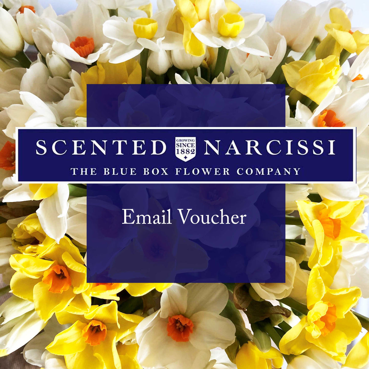 Email Gift Voucher Scented Narcissi