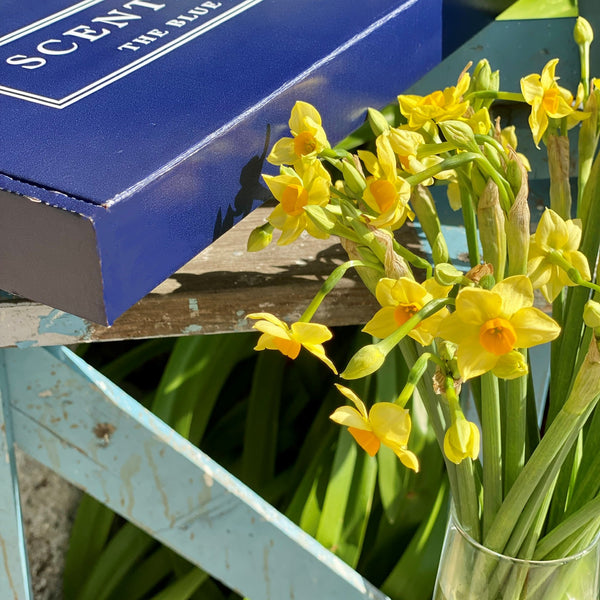 The Yellow Letterbox