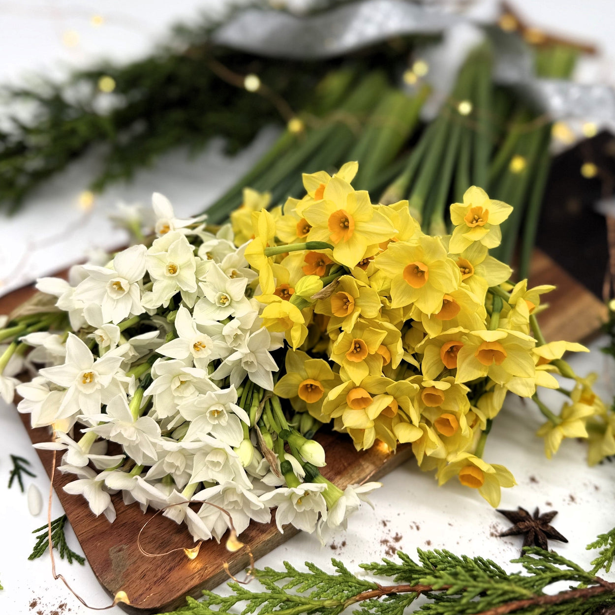 The Christmas Collection