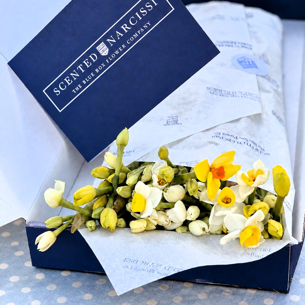 The Mixed Letterbox