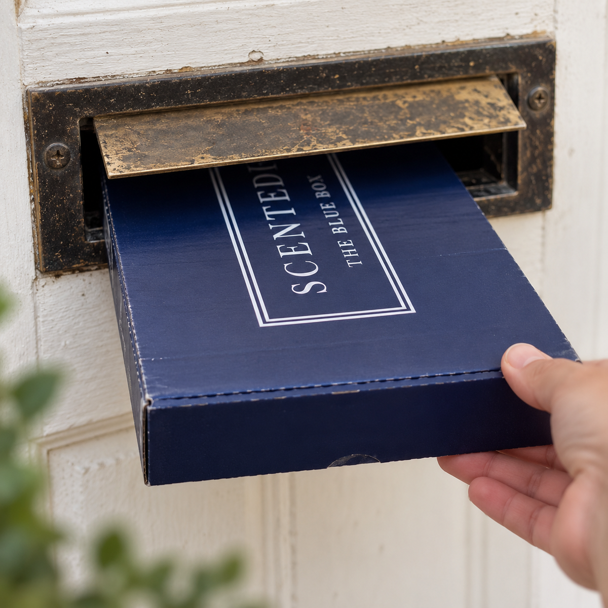 The Mixed Letterbox