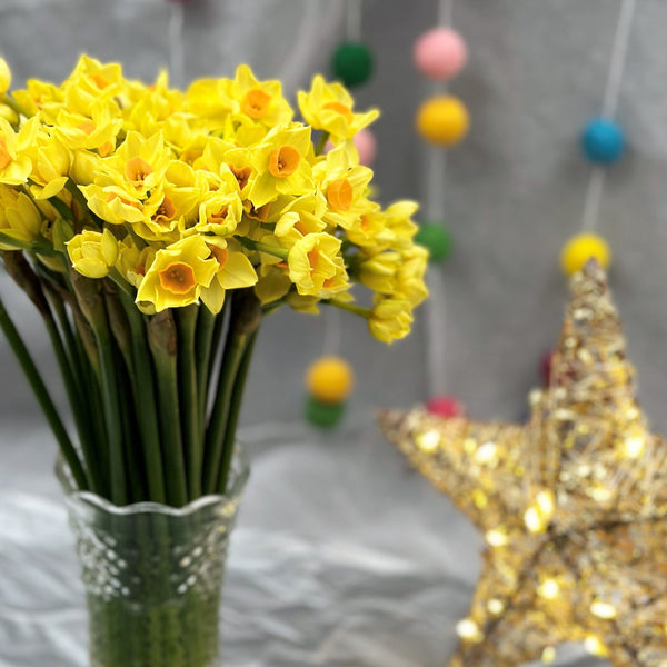 The Christmas Yellows and Golds