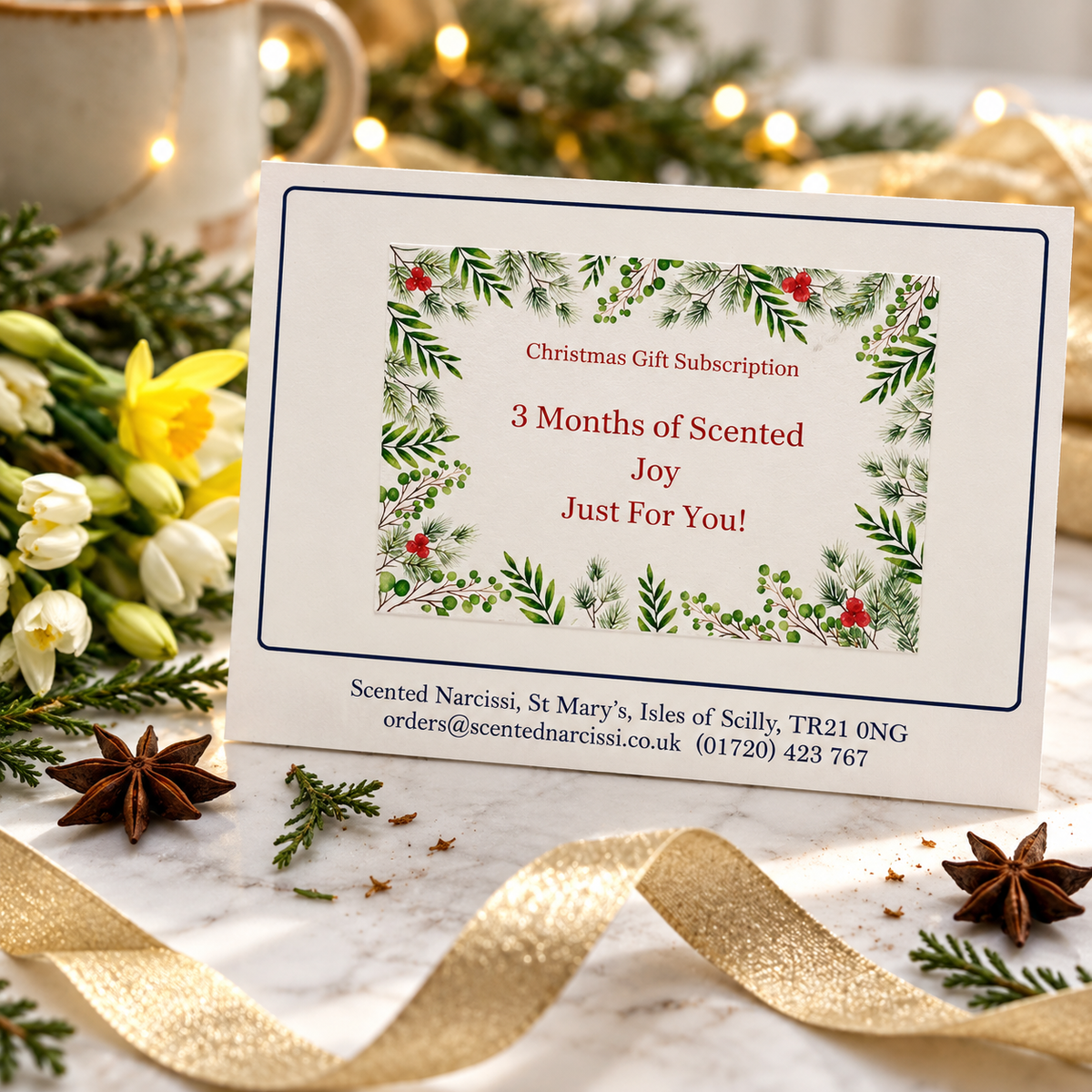 The Christmas Gift Subscription