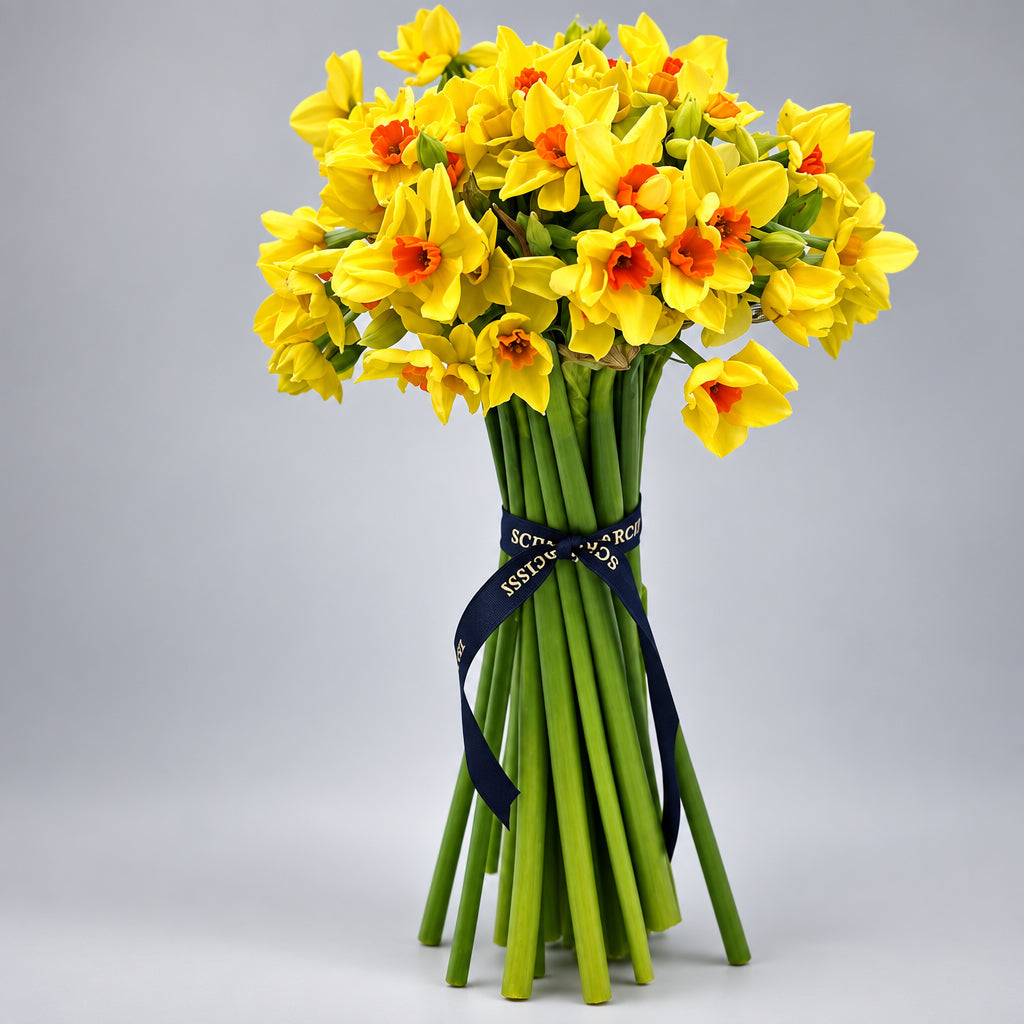 The Yellow Letterbox