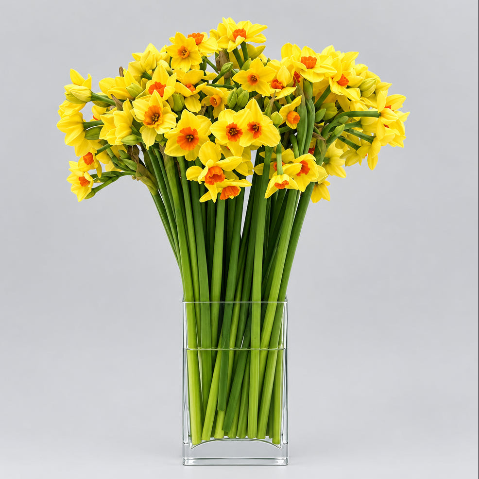 The Seasonal Yellows and Golds