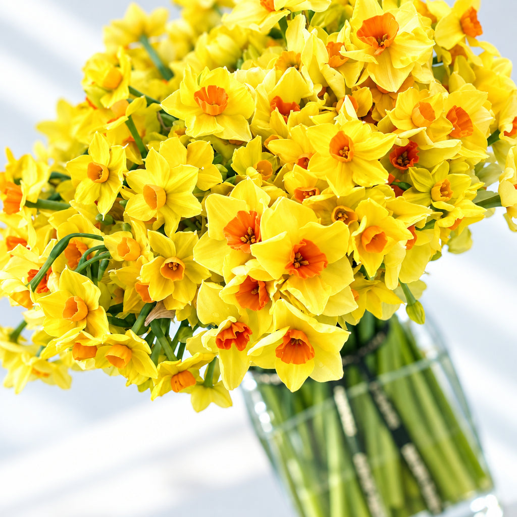 The Seasonal Yellows and Golds