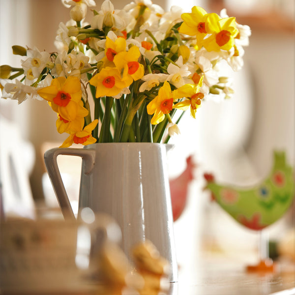 Pale blue ceramic jug of mixed scented narcissi, with easter chickens (4624120316043)