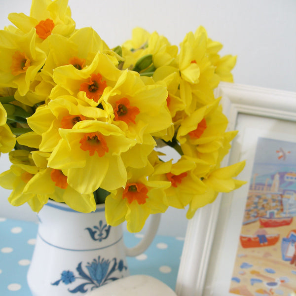 A small jug of vibrant yellow scented narcissi.  Variety Royal Connection. (4626590269579)